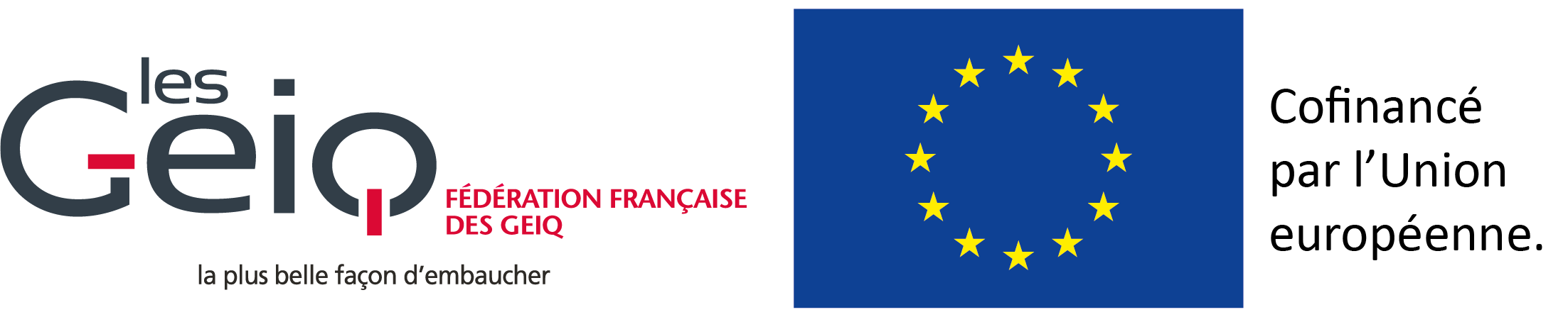 Logo FFGEIQ et FSE +