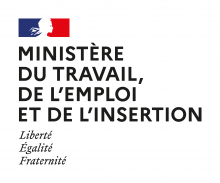 Mogo Ministère du travail, de l'emploi et de l'insertion